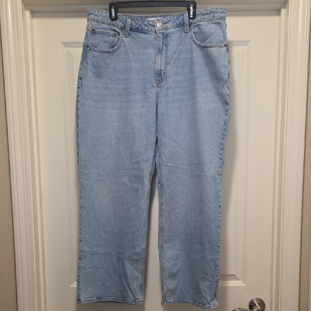 Abercombie & Fitch 90s Relaxed Jean High Rise Curve Love Size 16/33 Short
